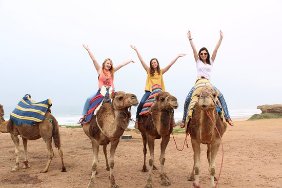 tangier-camel-ride-visit-morocco