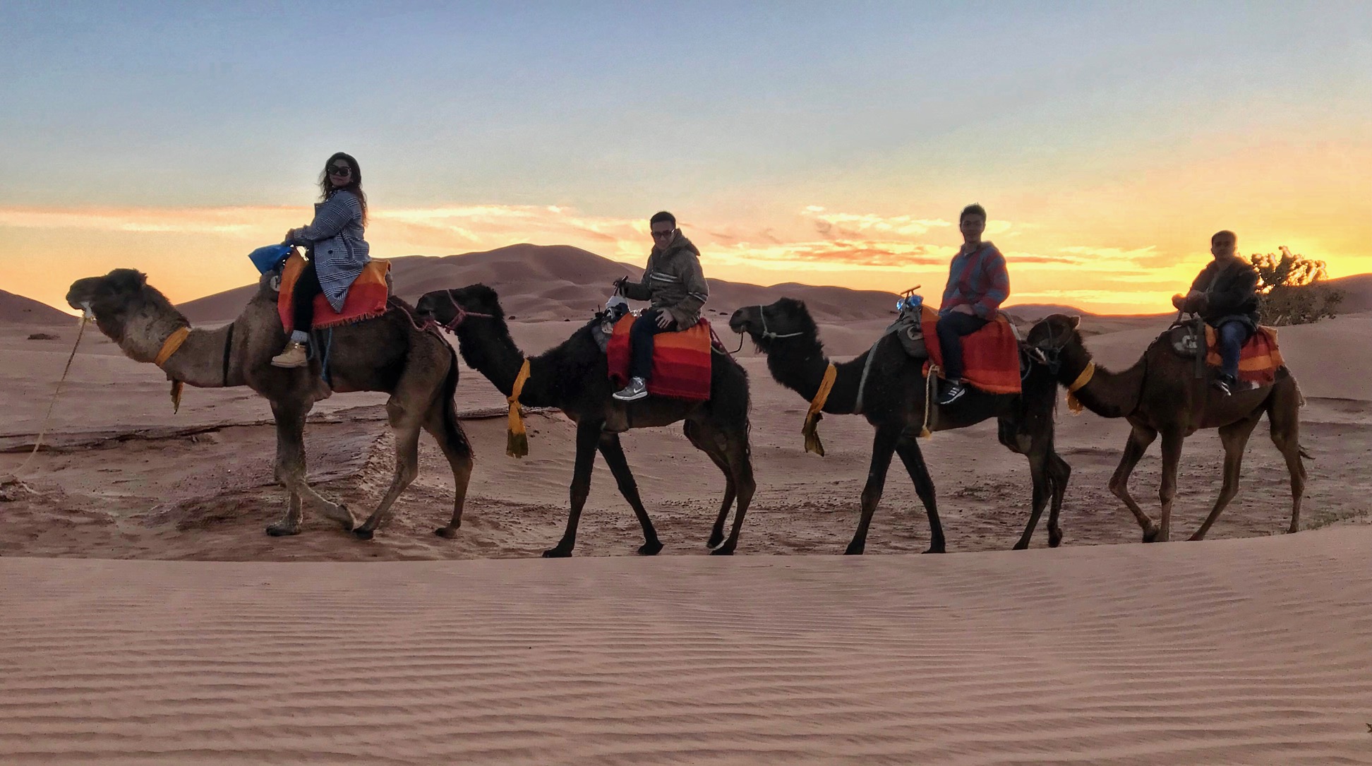 Sahara trip