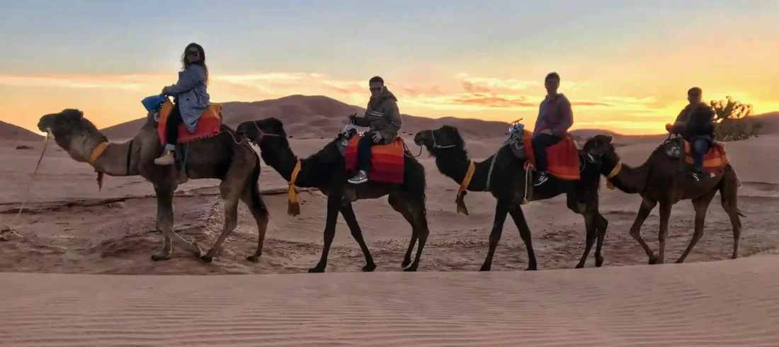 things to do in sahara