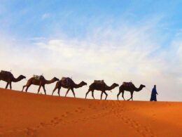 3-days-marrakech-sahara-fes-itinerary-morocco-simply-morocco.com